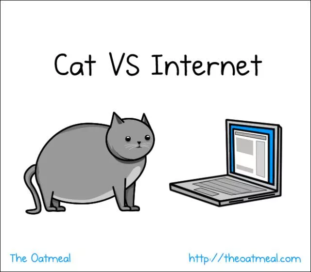 Cats vs internet the meme war