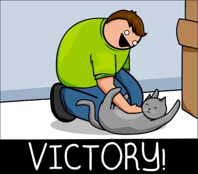 Cats vs internet the meme war - #21 