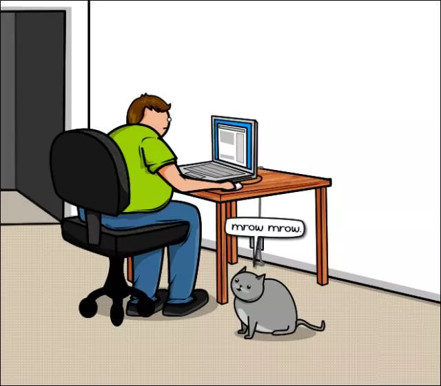 Cats vs internet the meme war - #3 