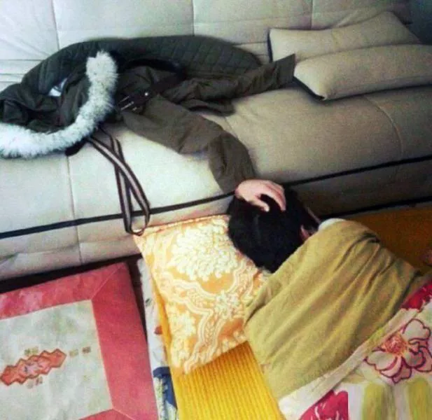 These photos will shake your brain - #44 