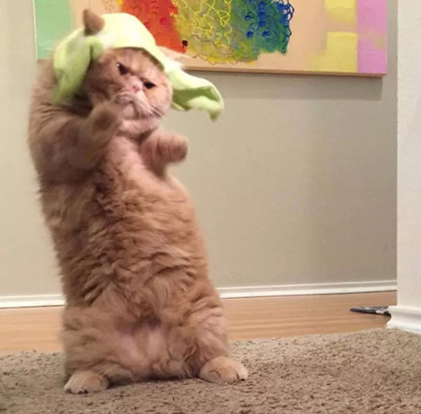 Picdump 169 - #49 
