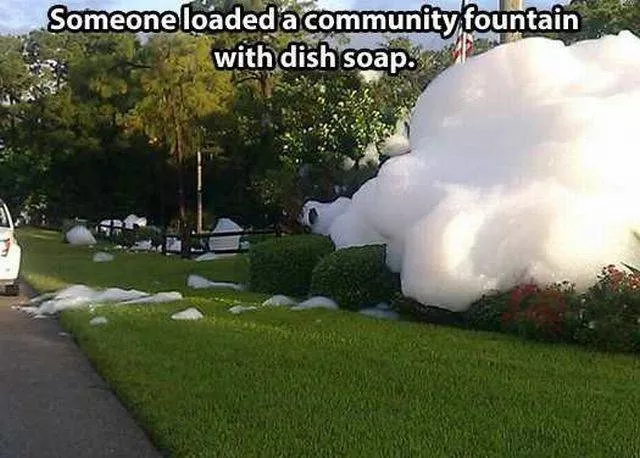 Picdump 170 - #14 