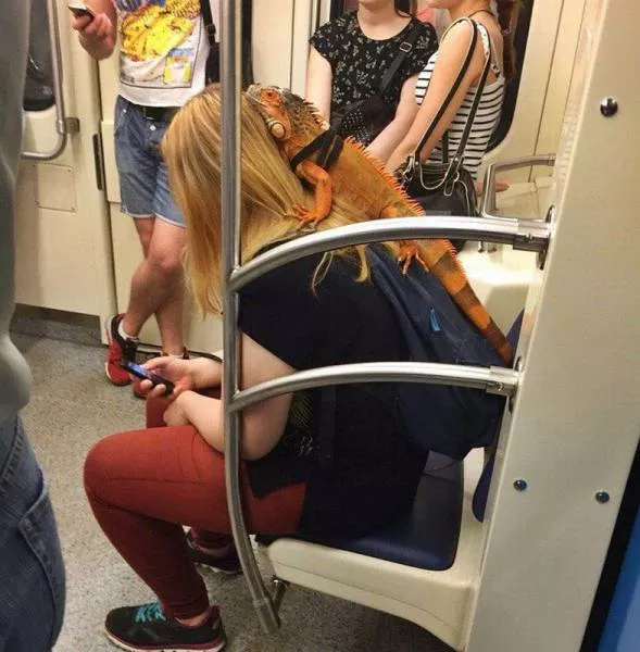 Picdump 170