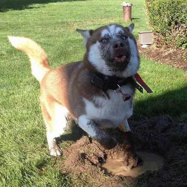 Picdump 170 - #4 