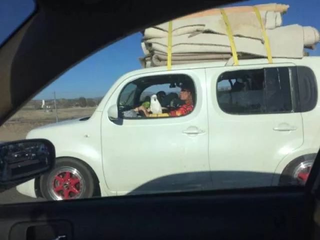Picdump 170 - #41 