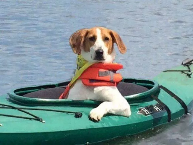 Picdump 170 - #45 