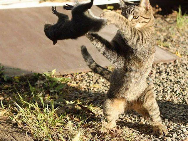 Picdump 170 - #51 