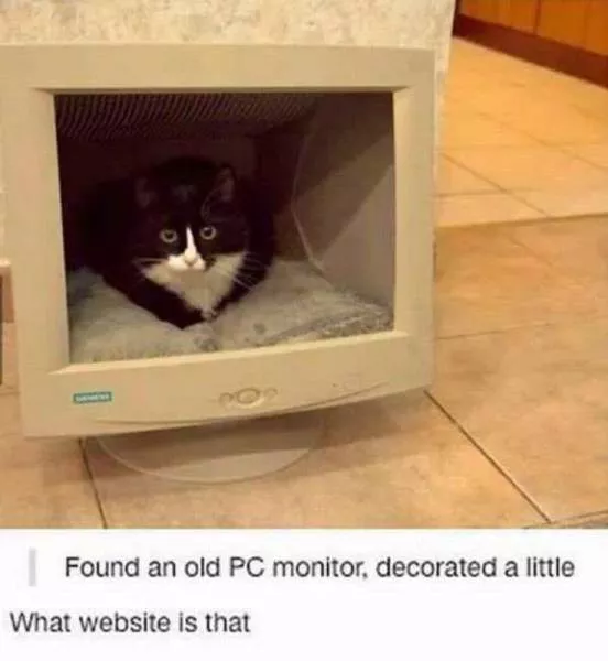 Picdump 170 - #52 