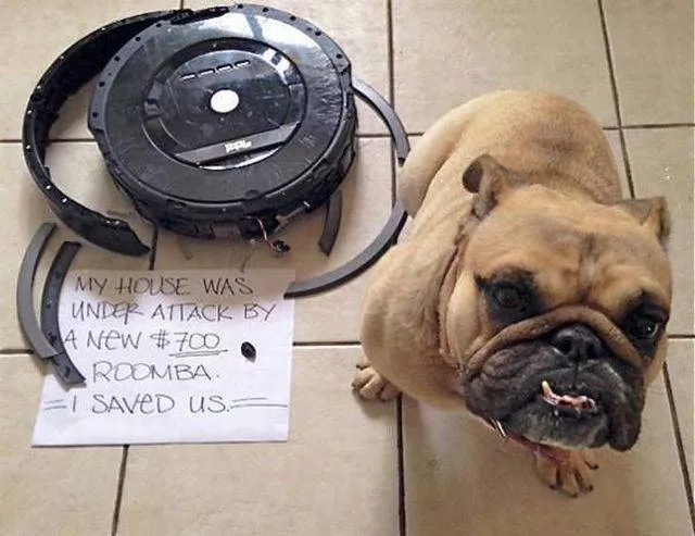 Picdump 170 - #6 