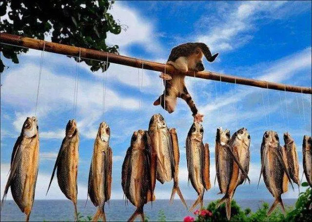 Picdump 170 - #65 