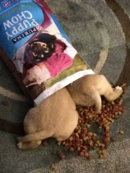 Picdump 171 - #12 