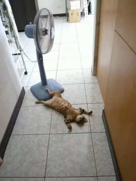 Picdump 171 - #69 