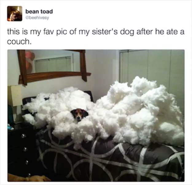Picdump 171 - #90 