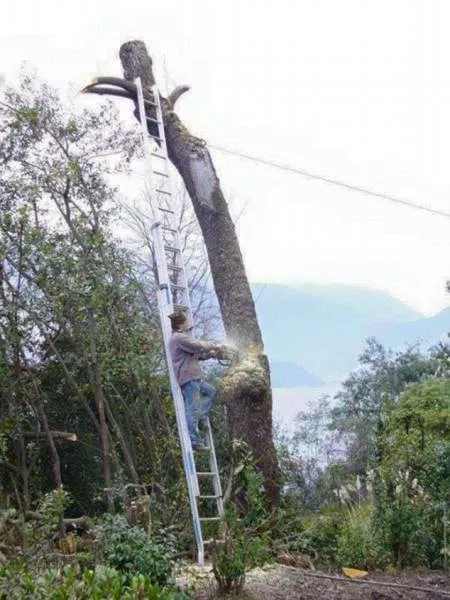 Picdump 172 - #8 