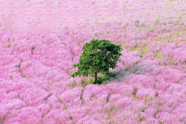 Life is beautiful - #14 