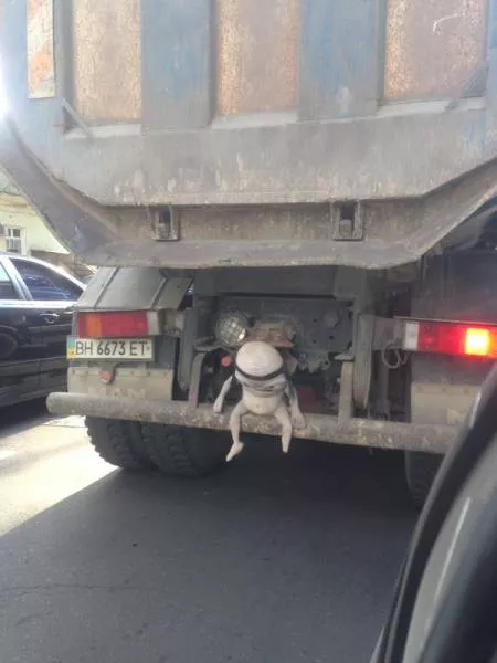 Picdump 173 - #11 