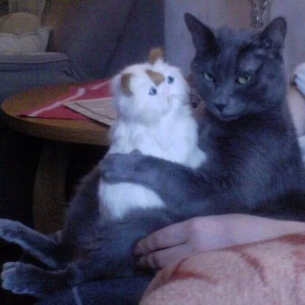 Picdump 173 - #12 