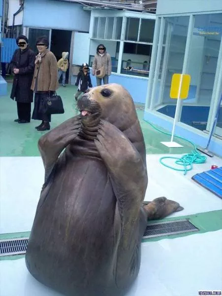 Picdump 173 - #13 
