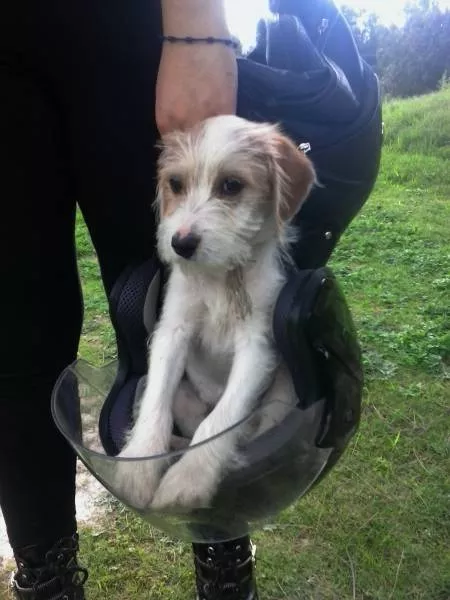 Picdump 173 - #34 