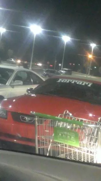 Picdump 173 - #4 