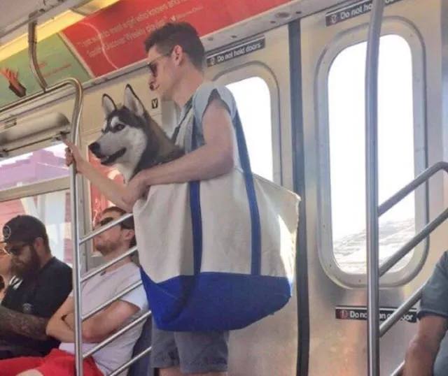 Picdump 173 - #7 