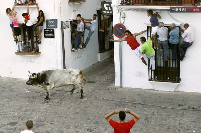 Picdump 174 - #28 