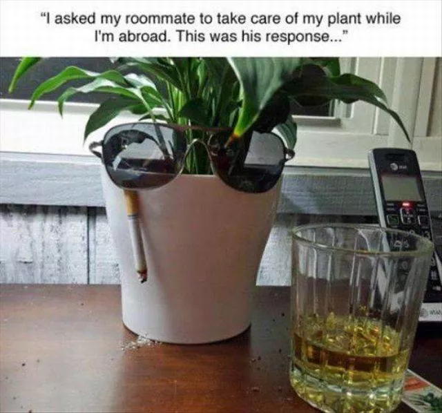 Picdump 174 - #29 