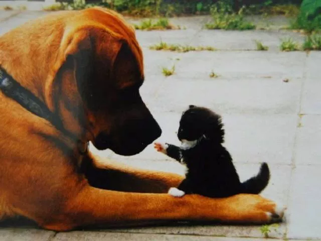 Picdump 174 - #44 