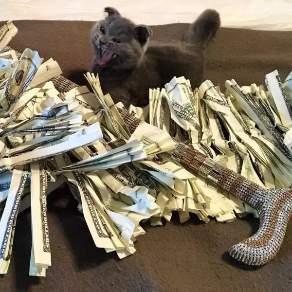 Picdump 174 - #46 