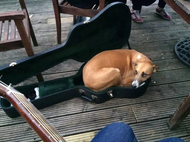 Picdump 174 - #48 