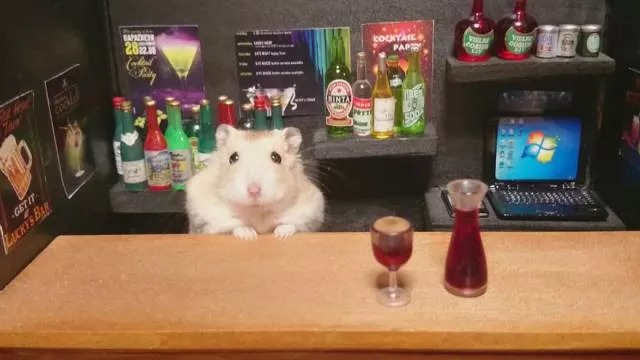 Picdump 174 - #54 