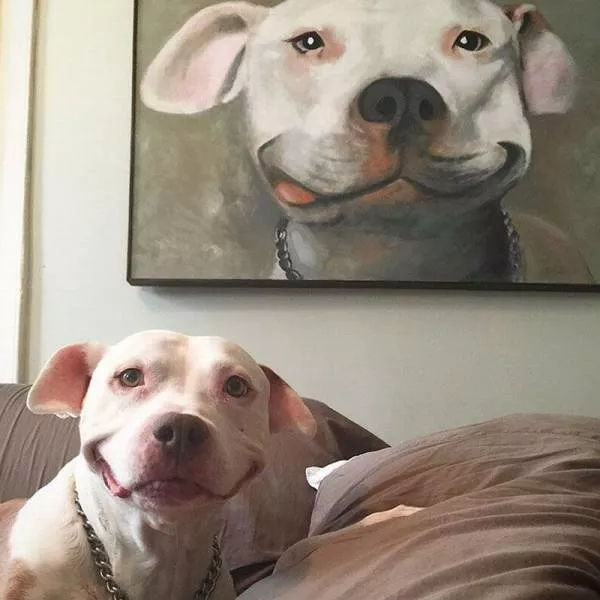 Picdump 174 - #63 