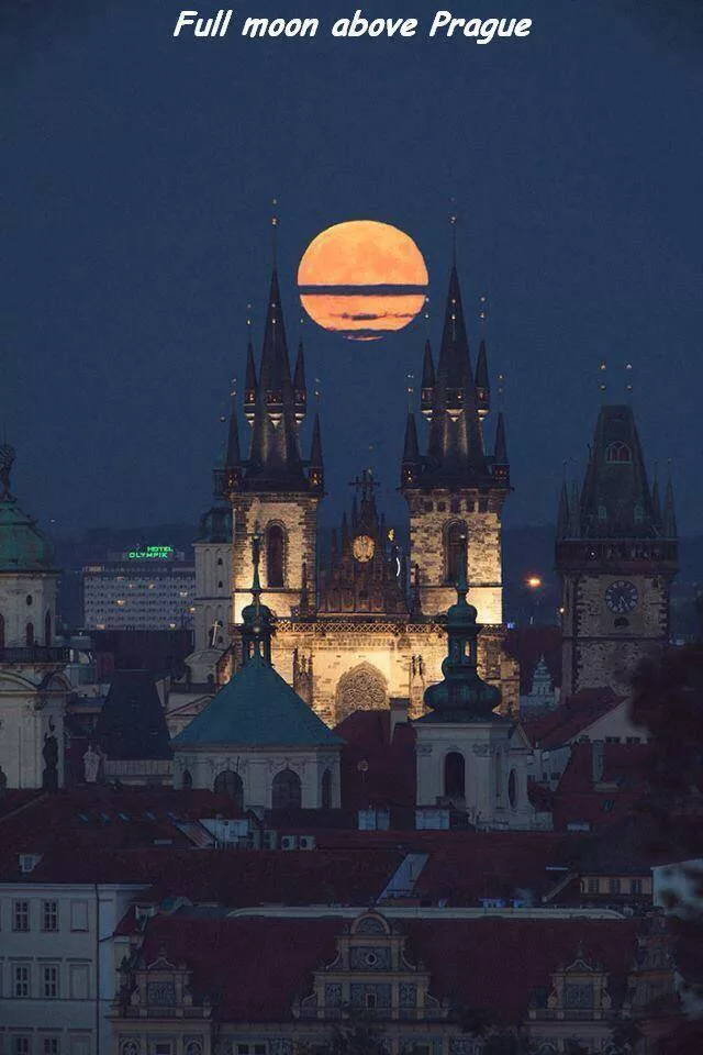 Picdump 174 - #74 