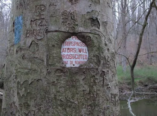 Picdump 174 - #77 