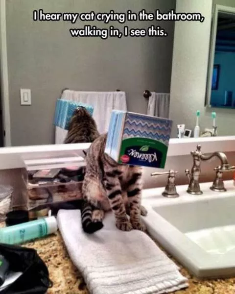 Picdump 174 - #91 
