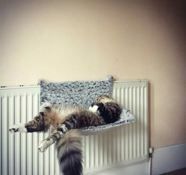 Picdump 175 - #40 