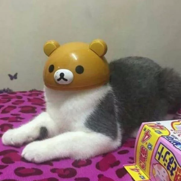 Picdump 175 - #47 