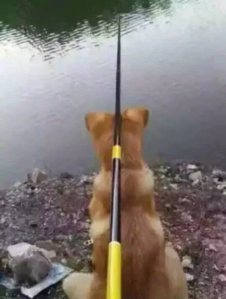 Picdump 175 - #7 