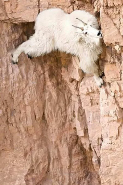 Mission impossible stunning scenes - #10 