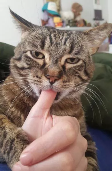 Picdump 177 - #10 