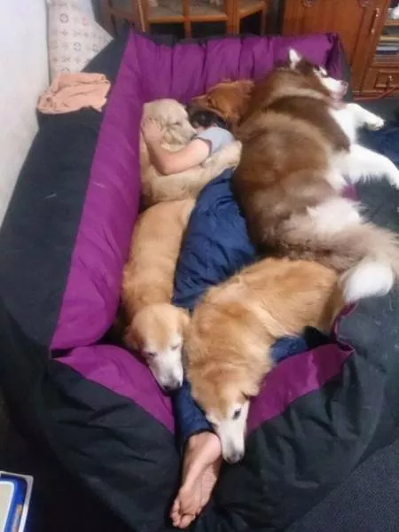 Picdump 177 - #42 