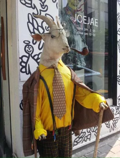 Picdump 177 - #66 