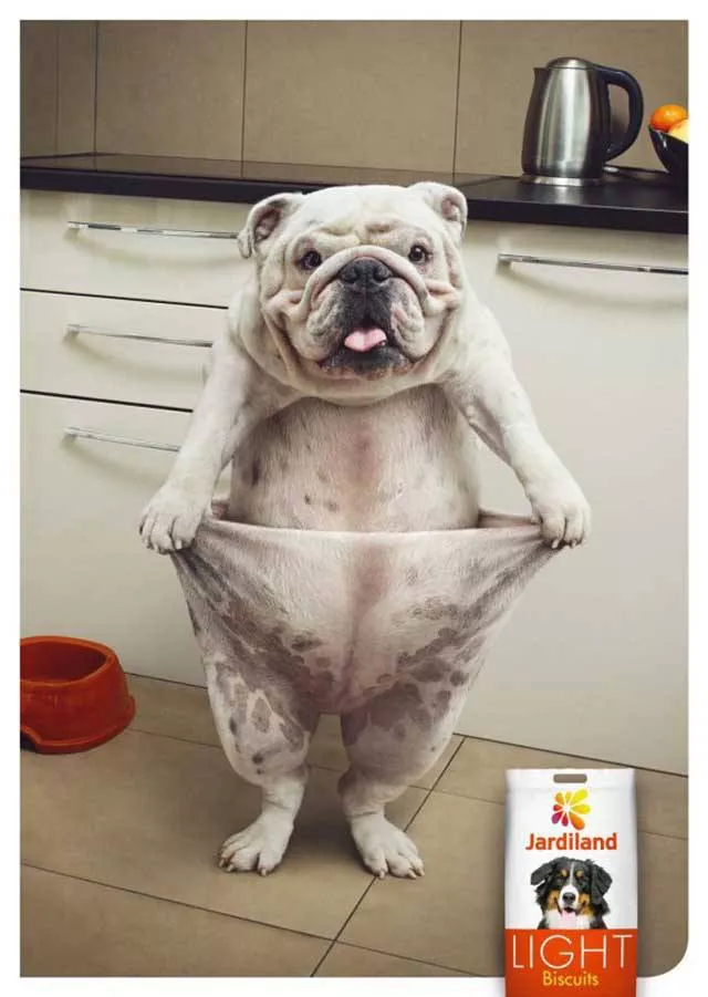 Des affiche publicitaire pas comme les autres - #14 