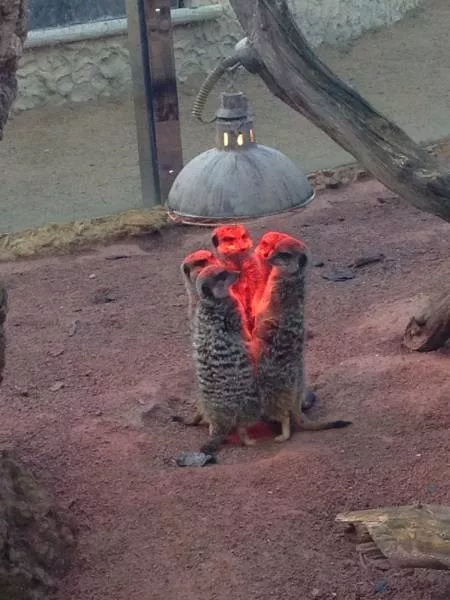 Picdump 25 - #21 