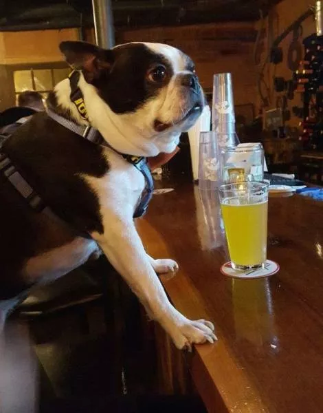 Picdump 25 - #27 