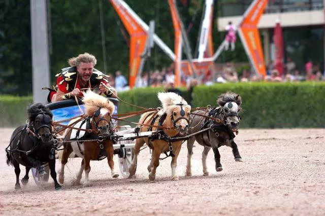 Picdump 25