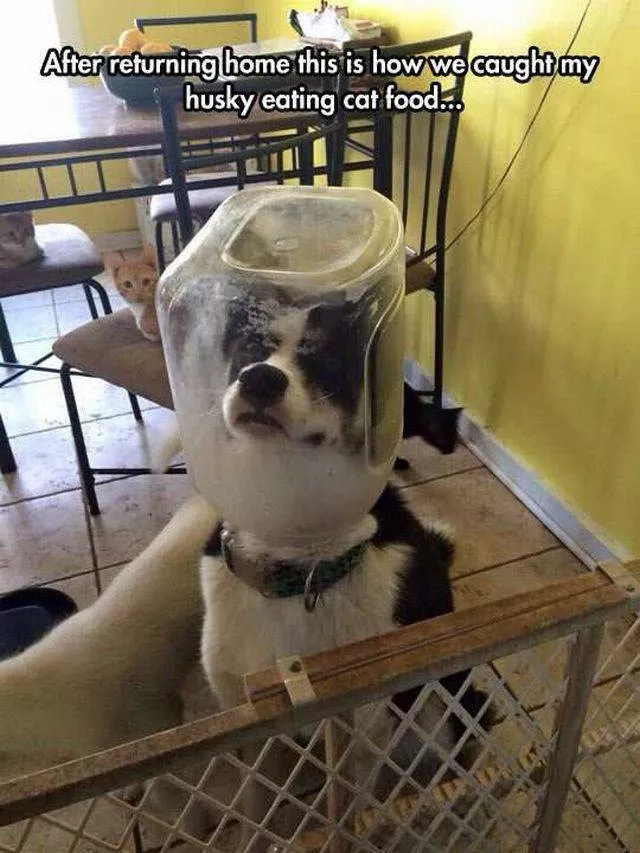 Picdump 25 - #47 