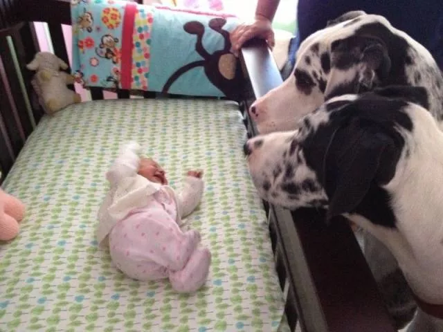 Picdump 25 - #56 