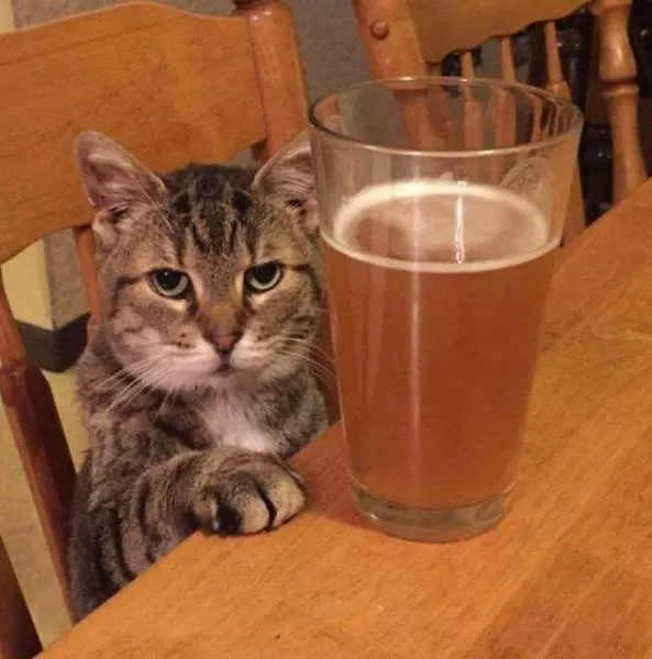 Picdump 25 - #60 