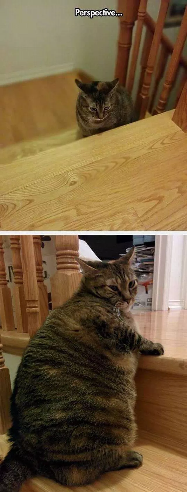 Picdump 25 - #66 